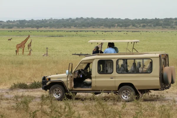 1 Day Akagera Wildlife Safari