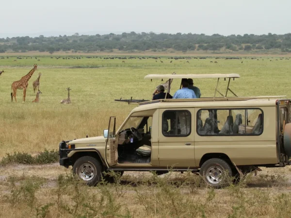 1 Day Akagera Wildlife Safari