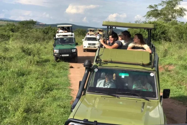 3 Days Akagera Wildlife Safari