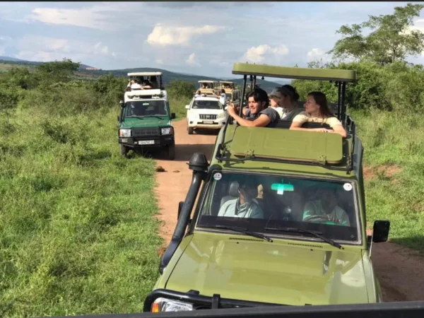 3 Days Akagera Wildlife Safari