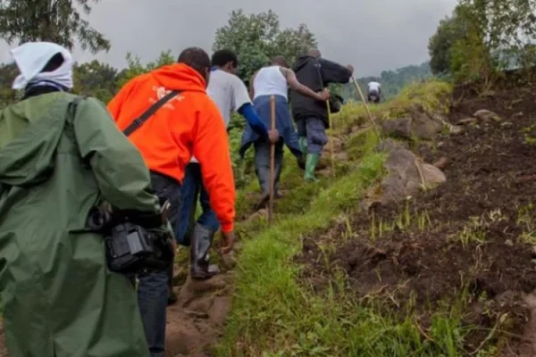 2 Days Volcanoes Mt. Bisoke Hike Adventure