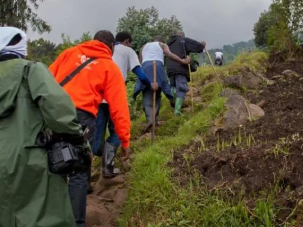 2 Days Volcanoes Mt. Bisoke Hike Adventure