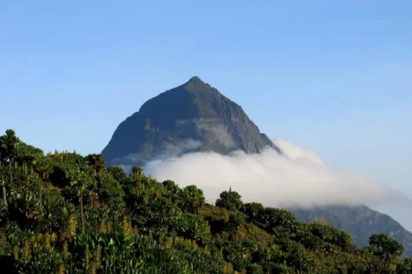 Volcanoes Adventure with Mount Karisimbi Hike