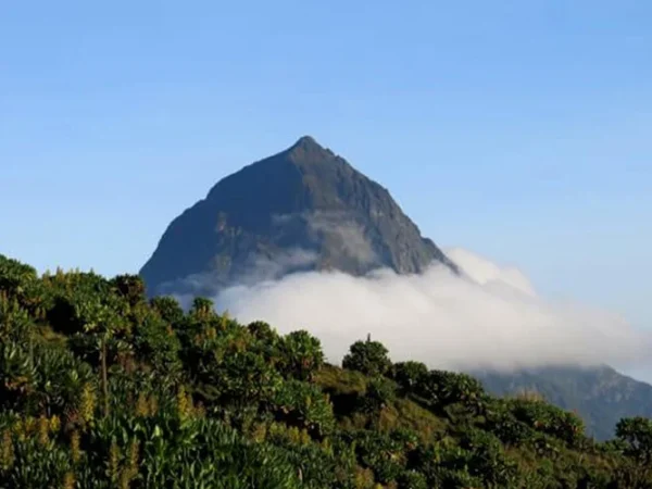 Volcanoes Adventure with Mount Karisimbi Hike