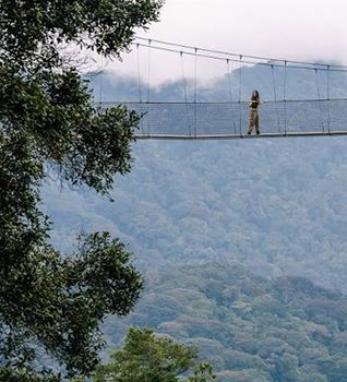 Nyungwe National Park