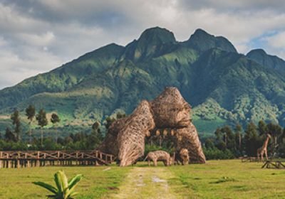 Visit Rwanda: Your Step-by-Step Guide to the Land of a Thousand Hills